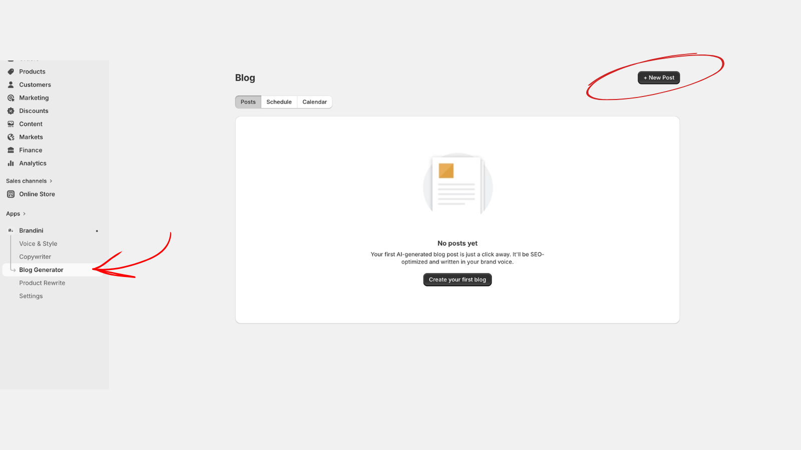 Blog page showing the Posts tab with the New Post button